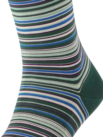 FALKE Socken 'Microblock'‌‌‌‌‌‌‌‌ in Grün