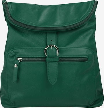 forty° Backpack in Green: front