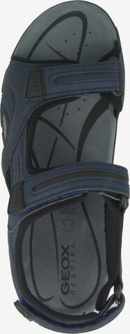 Sandalo da trekking 'Strada' di GEOX in blu