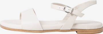 Sandales à lanières TAMARIS en blanc