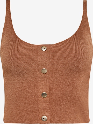 NAEMI Top in Brown: front