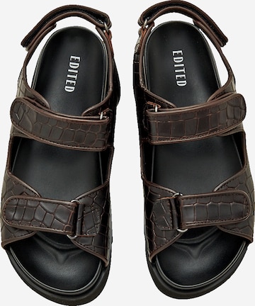 EDITED Sandals 'Taylah' in Brown