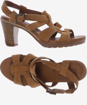 TIMBERLAND Sandalen 36,5 in Braun: predná strana