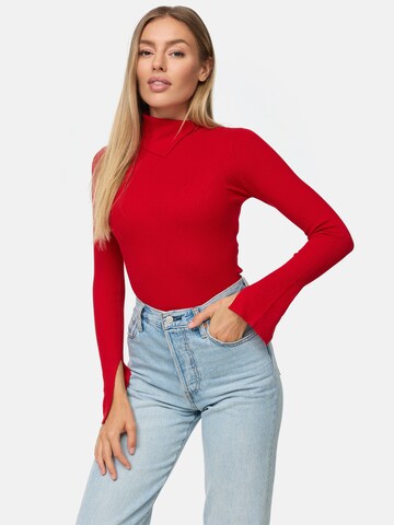 Threadbare Sweater 'Ross' in Red