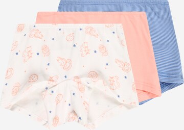 SCHIESSER Underpants in Mixed colors: front