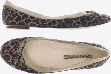 Buffalo London Flats & Loafers in 37 in Brown: front