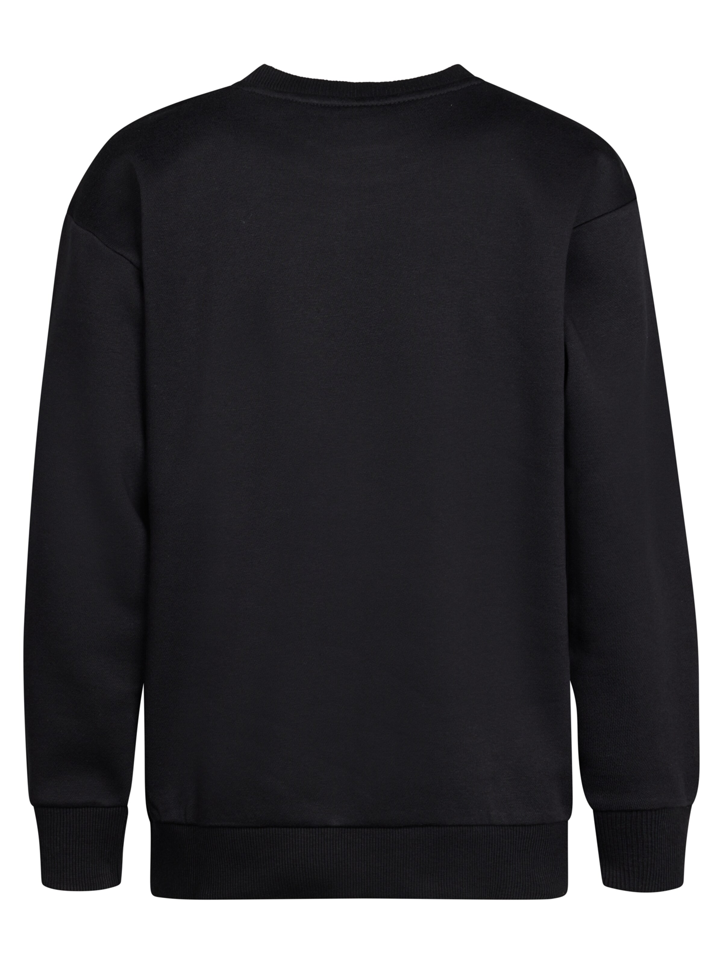 Petrol Industries Sweatshirt 'Adirondack' in Zwart