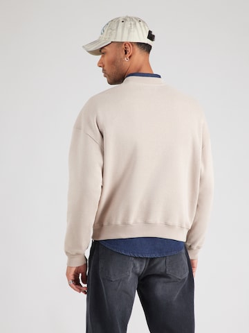 HOLLISTER Sweatshirt in Brown