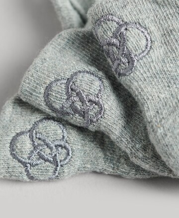 Chaussettes Superdry en gris