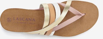 LASCANA T-bar sandals in Mixed colours