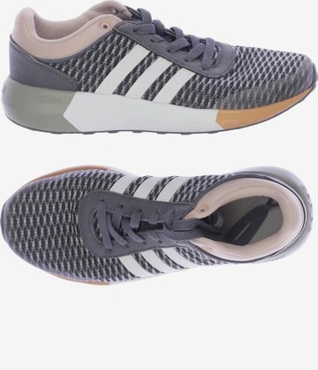 ADIDAS NEO Sneaker 38,5 in Grau: predná strana