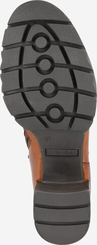 TT. BAGATT Ankle Boots 'Yamila' in Braun
