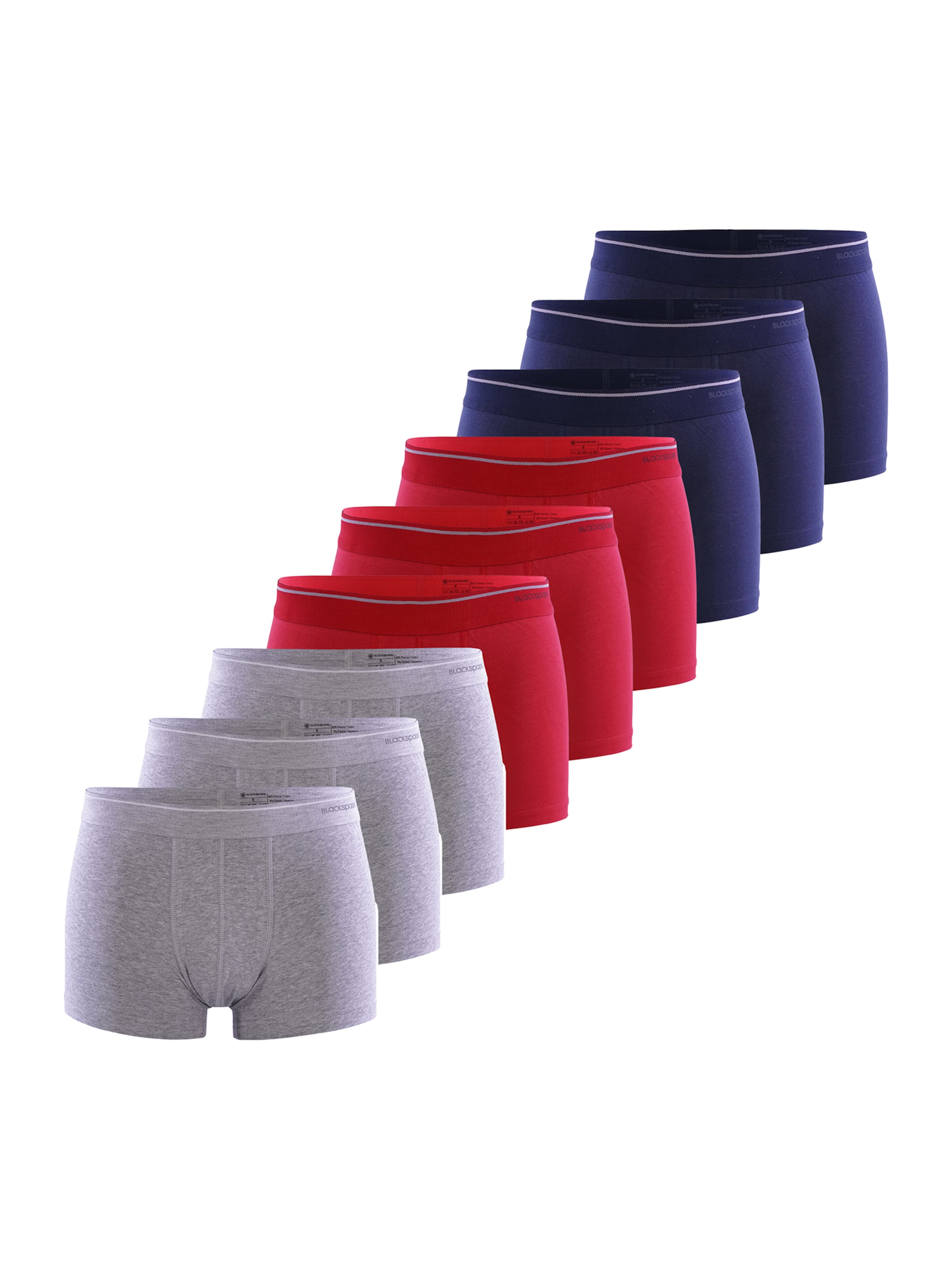 Blackspade Boxer shorts in Blue: front