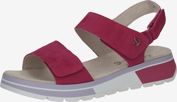 CAPRICE Sandal i rosa: framsida