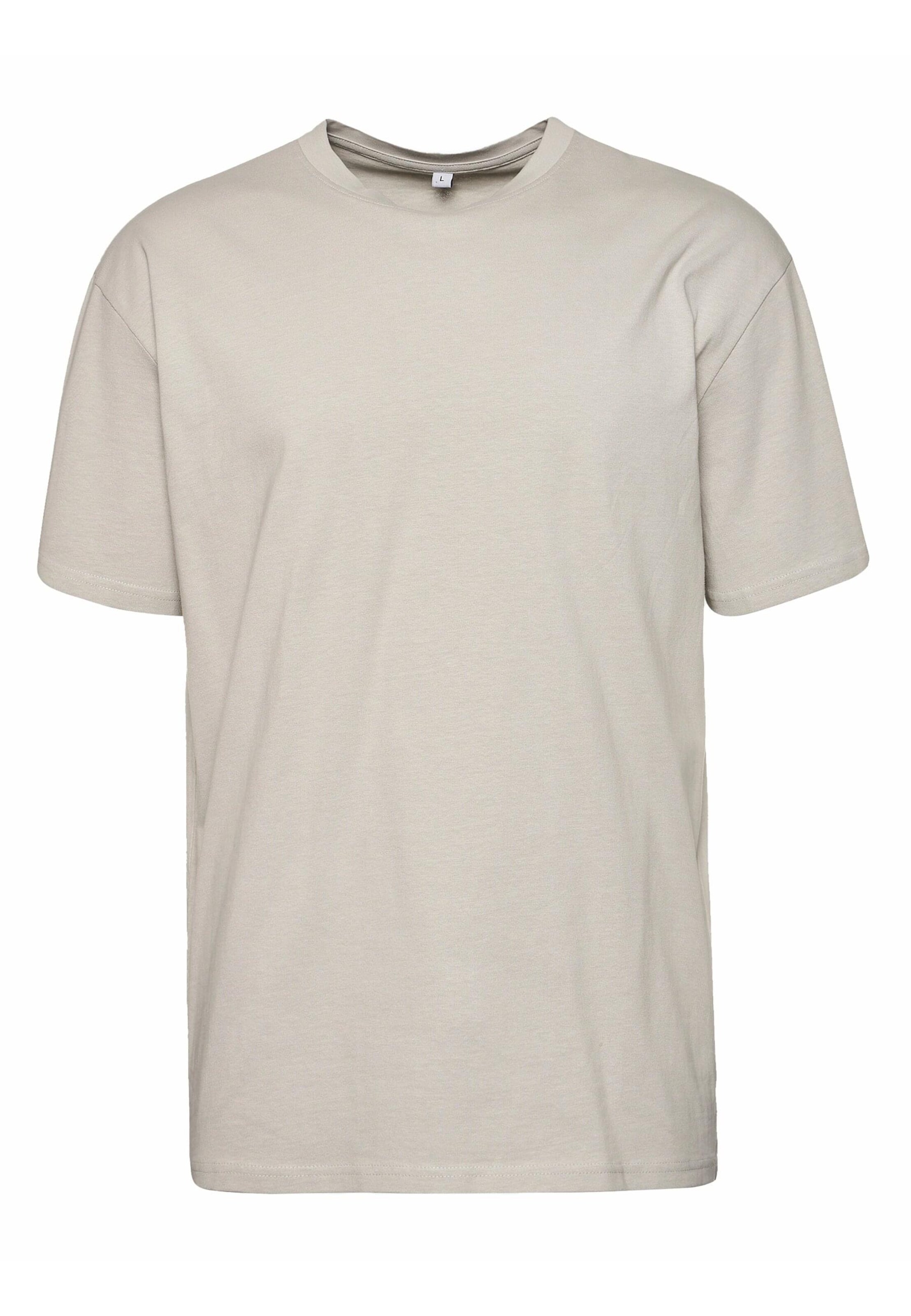 T-Shirt 'Hand' ROCAWEAR en gris : devant