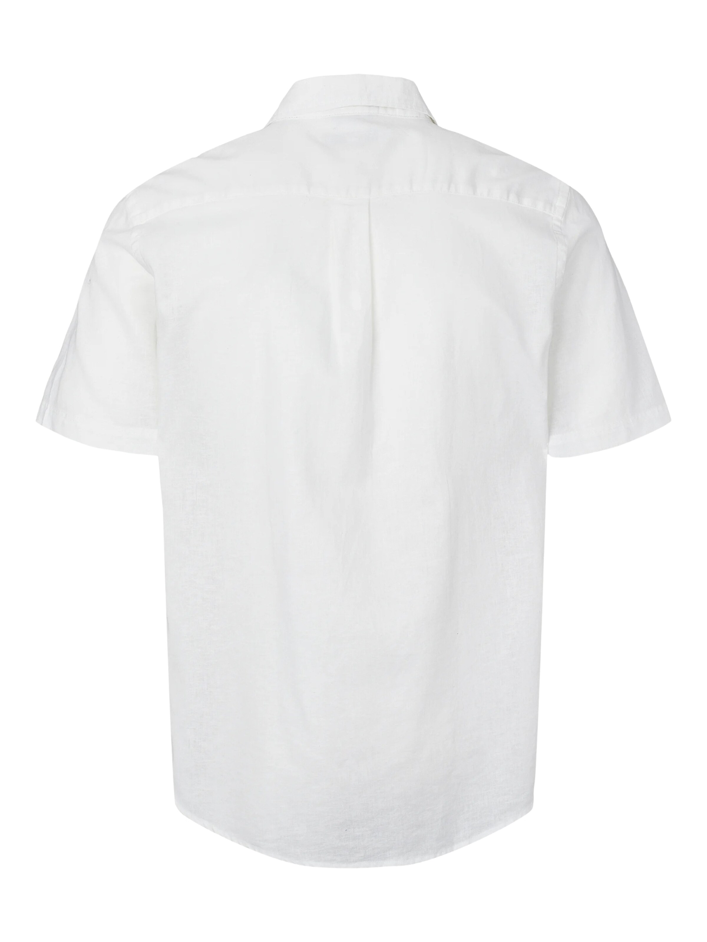 U.S. POLO ASSN. Regular Fit Paita 'Flori' värissä valkoinen