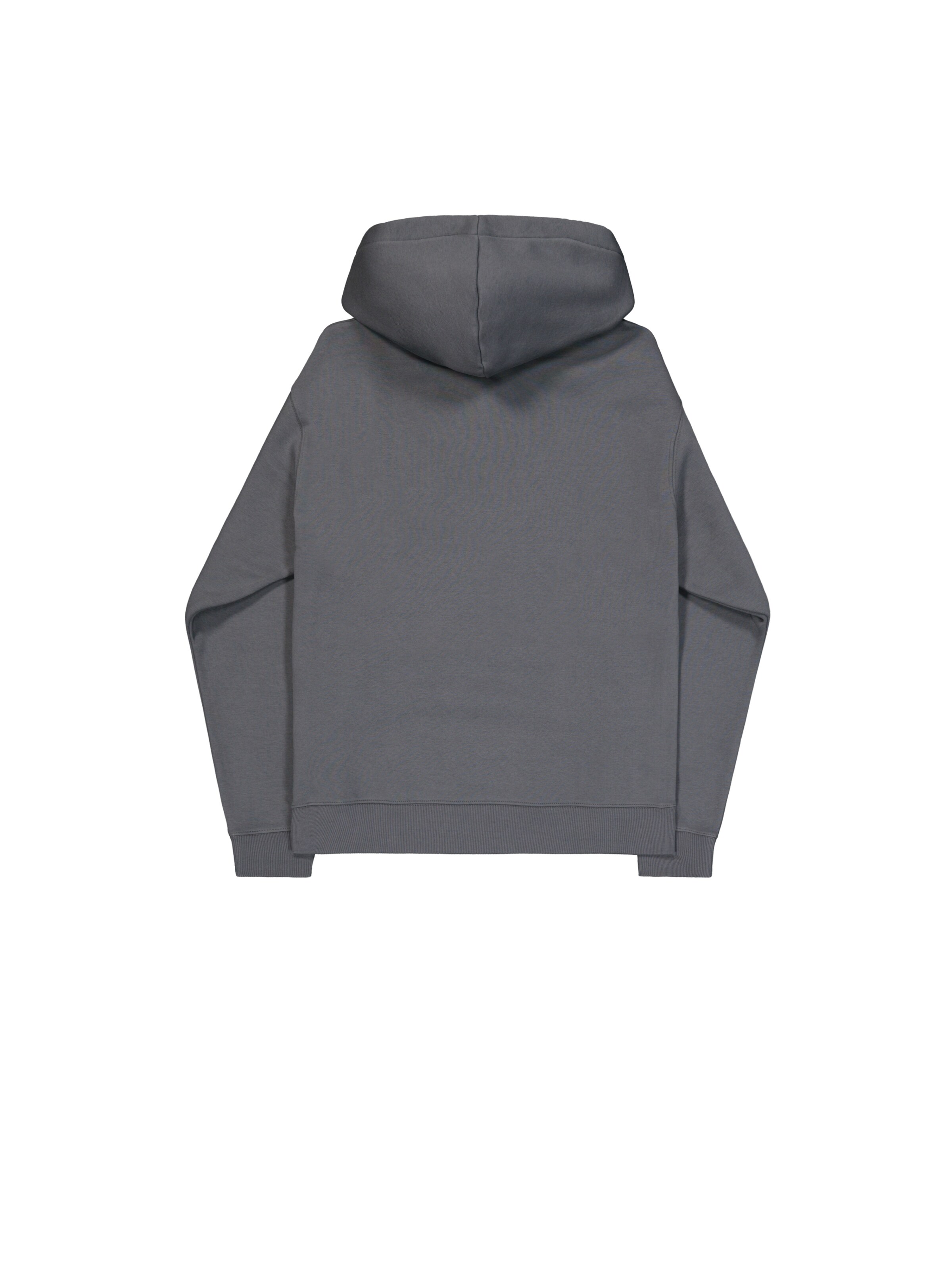 ALPHA INDUSTRIES Bluzka sportowa 'DTM' w kolorze szary