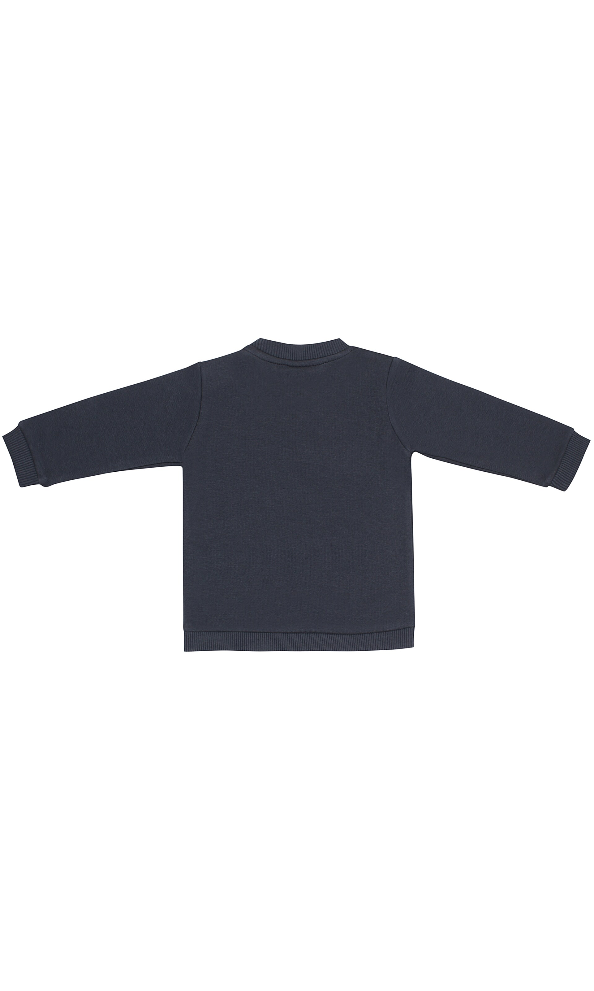 Bruuns Bazaar Kids Sweatshirt 'Liam Elias' in Blau