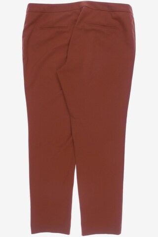 SHEEGO Pants in XXXL in Brown