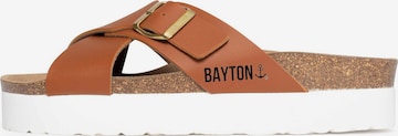 Bayton Mule 'Ajax' in Brown: front