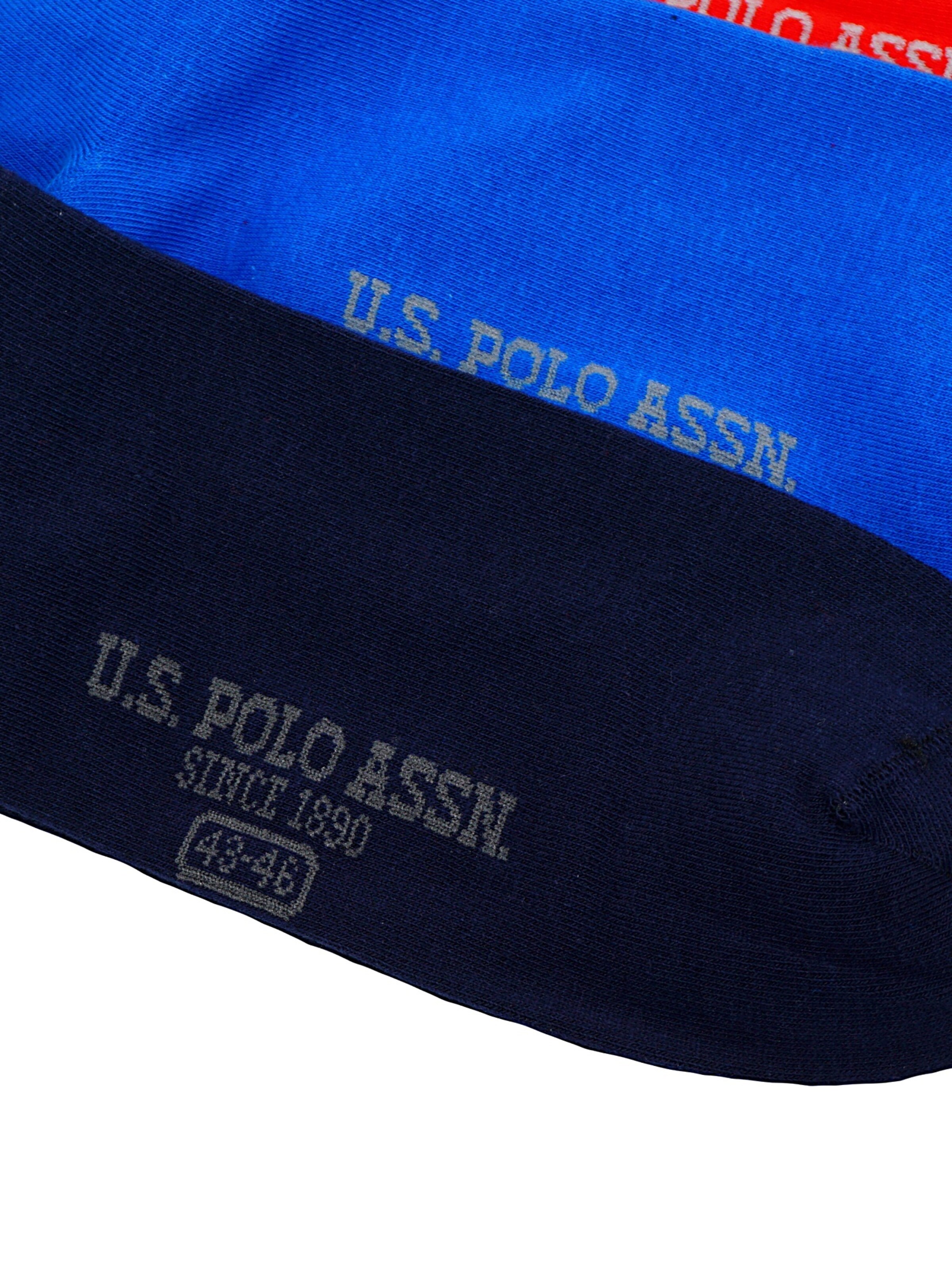 Calzino 'Business' di U.S. POLO ASSN. in colori misti