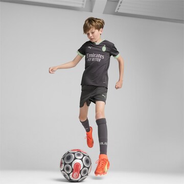 PUMA Funktionsshirt 'AC Milan 24/25' in Grau