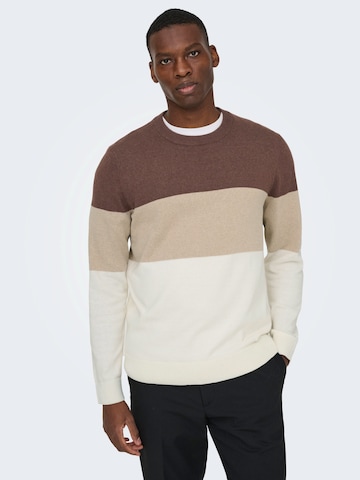 Only & Sons Свитер 'ONSREX' в Белый: спереди