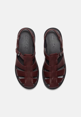 TIMBERLAND - Sandalias con hebilla 'Fisherman' en marrón