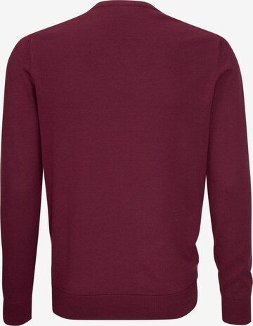 SEIDENSTICKER Pullover ' Schwarze Rose ' in Rot