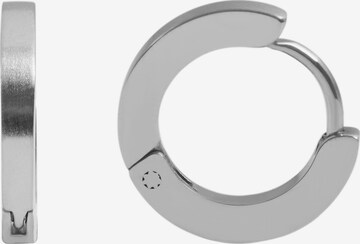 Akzent Earrings 'Ario, langlebig' in Silver: front
