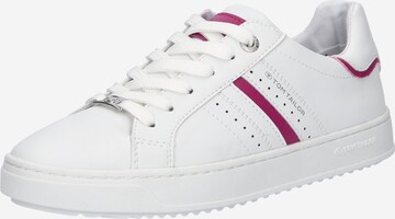 Sneaker bassa di TOM TAILOR in bianco: frontale