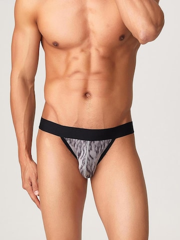 TAUWELL Panty 'Tiger' in Grey: front