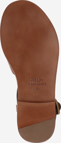 ruda Polo Ralph Lauren Sandalai