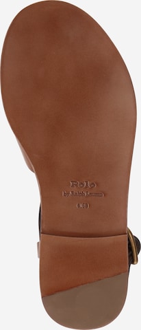 Polo Ralph Lauren Sandal i brun