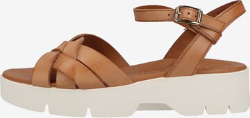 Paul Green Strap Sandals in Brown