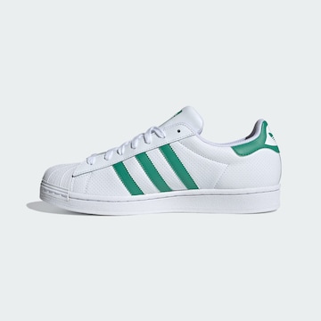 ADIDAS ORIGINALS Sneakers ' Superstar ' in White