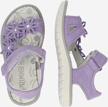 PRIMIGI Sandal in Purple