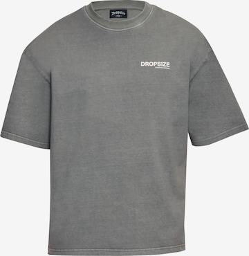 Dropsize T-Shirt in Grau: Vorderseite