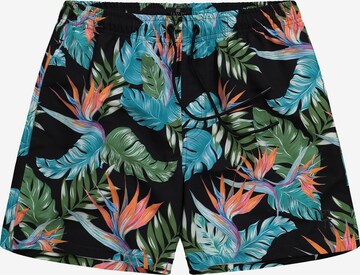 Shorts de bain JAY-PI en noir : devant