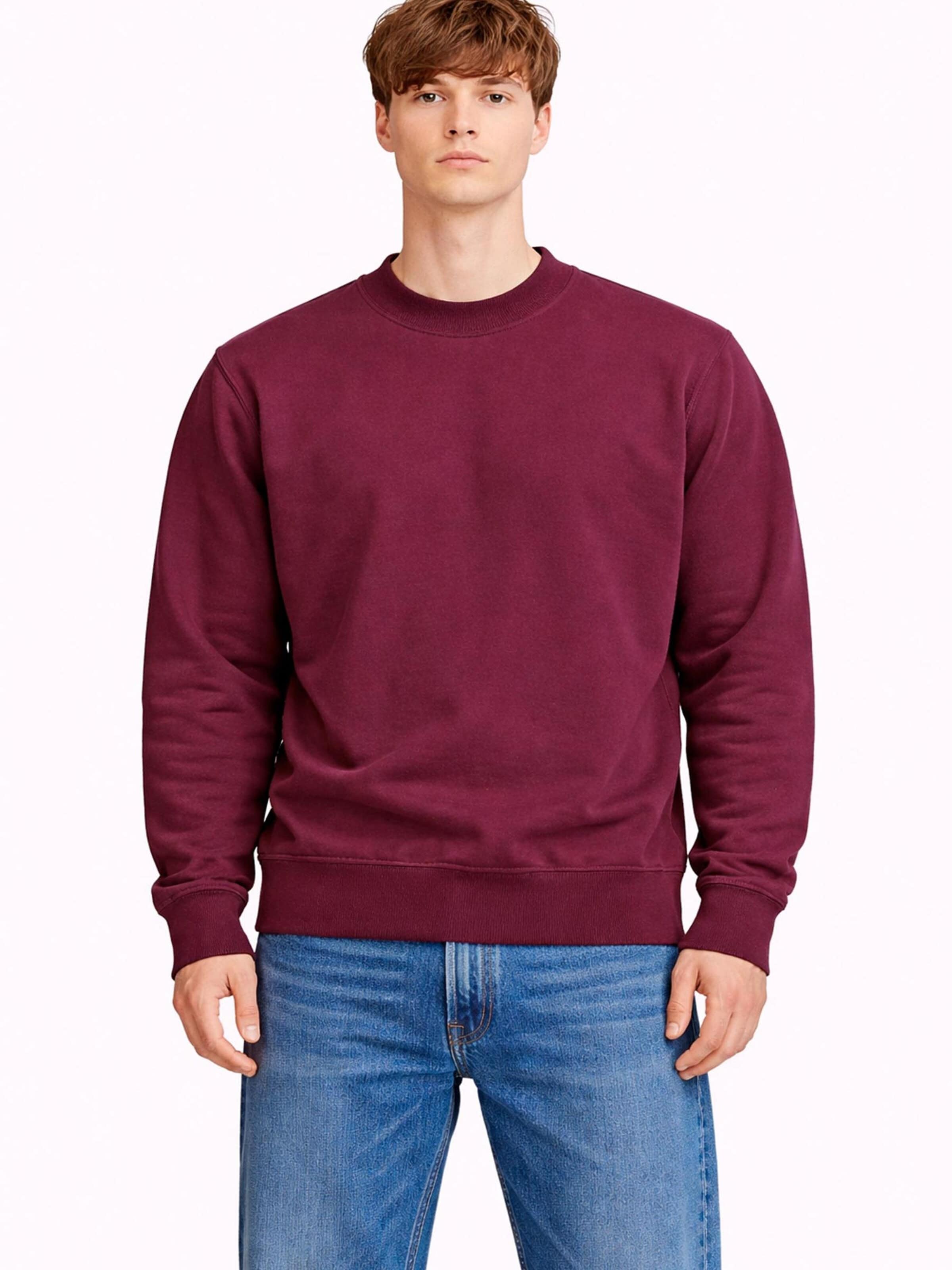 A Question Of (AQO) Sweatshirt 'Johannes' in Lila: voorkant