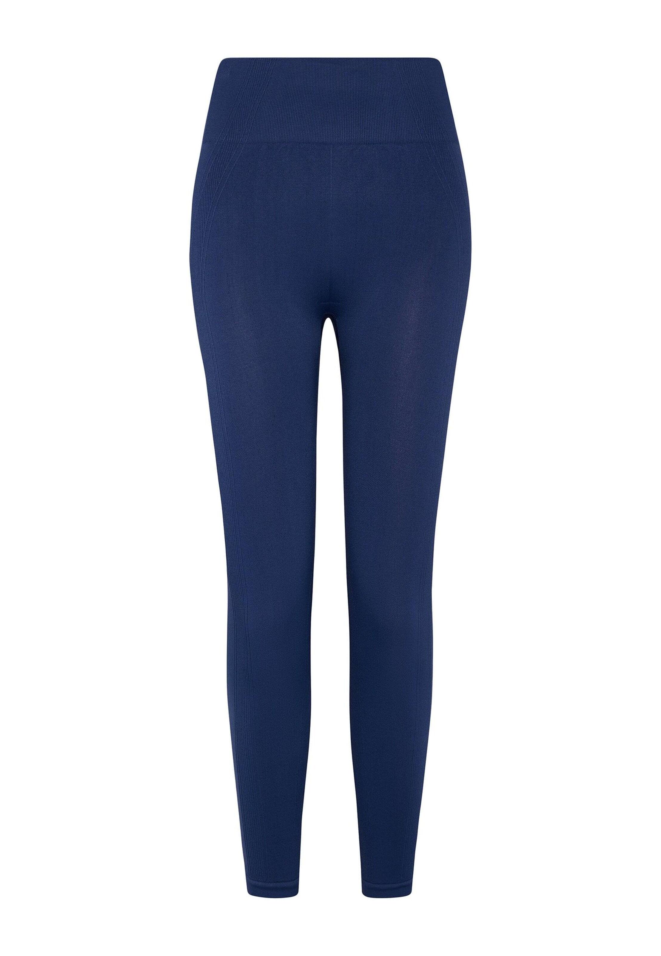 Born Living Yoga Regular Leggings 'Sarvan' in Blue: front