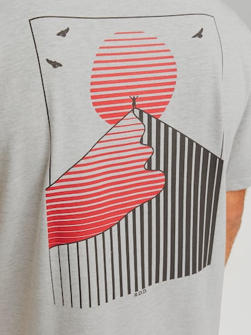 R.D.D. ROYAL DENIM DIVISION T-Shirt 'RDDBARRY' in Grau