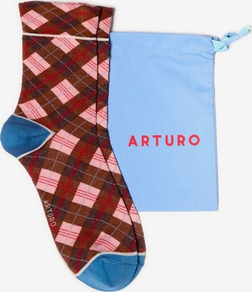 Calzino di Arturo in marrone: frontale