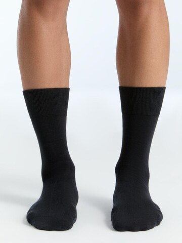 Albero Natur Socks 'Bio-Baumwoll-Socken mit längerem Bündchen - 2er Pack' in Black