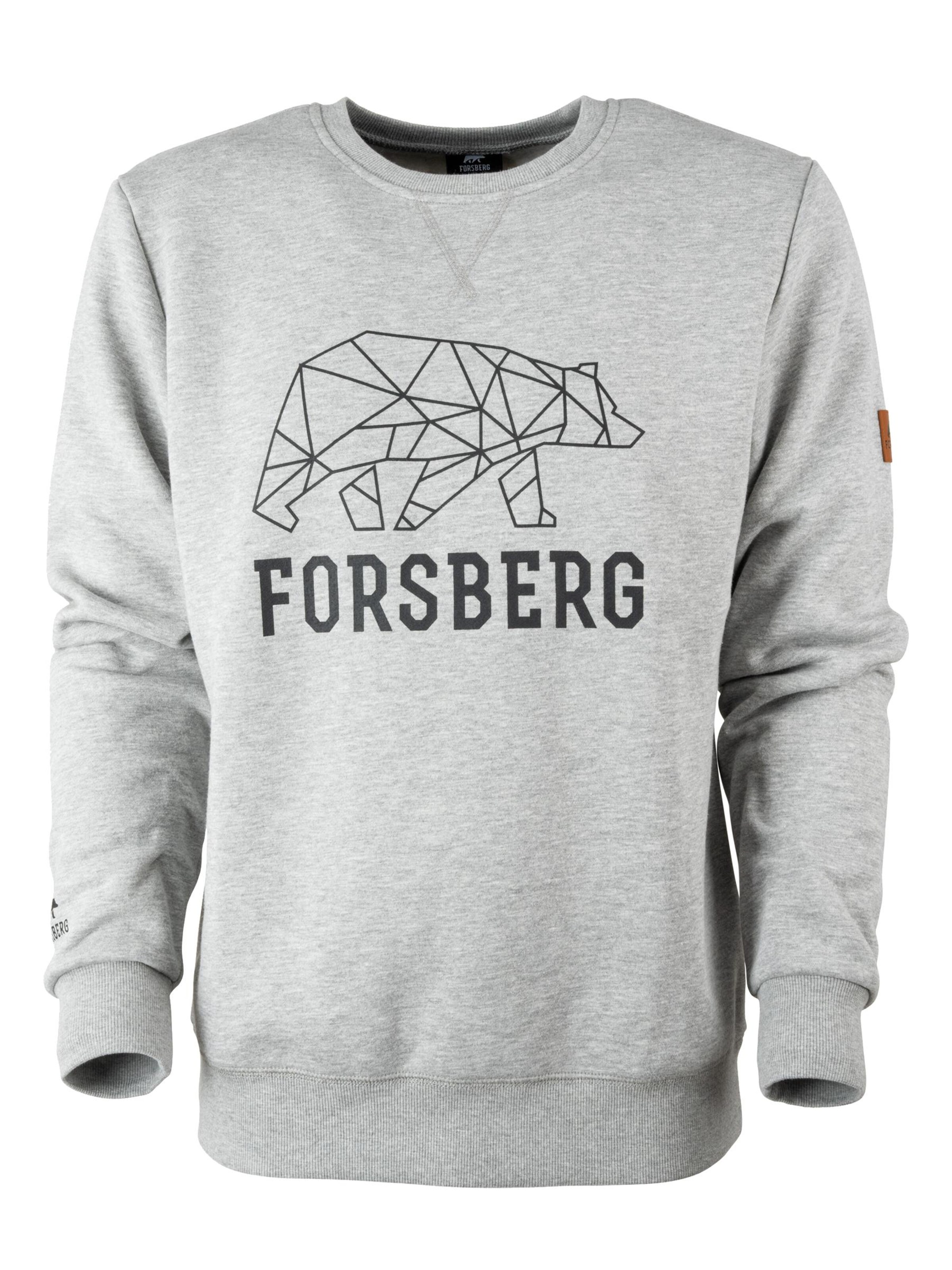 FORSBERG Sweatshirt 'Bertson mit Logo' in Grey: front