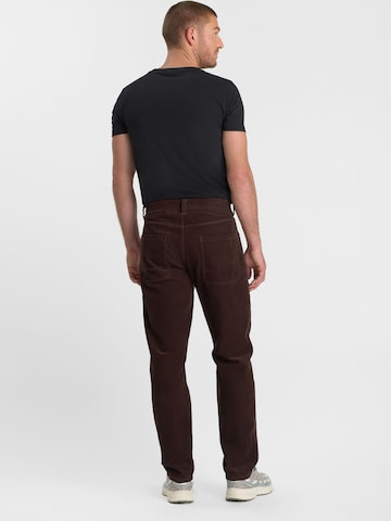 Regular Jean 'RENSO ' Le Temps Des Cerises en marron