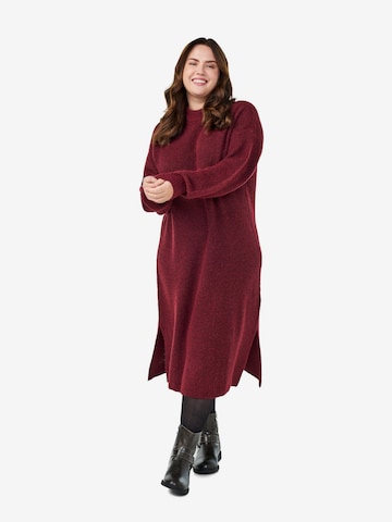 raudona Zizzi Megzta suknelė 'Cavilma': priekis