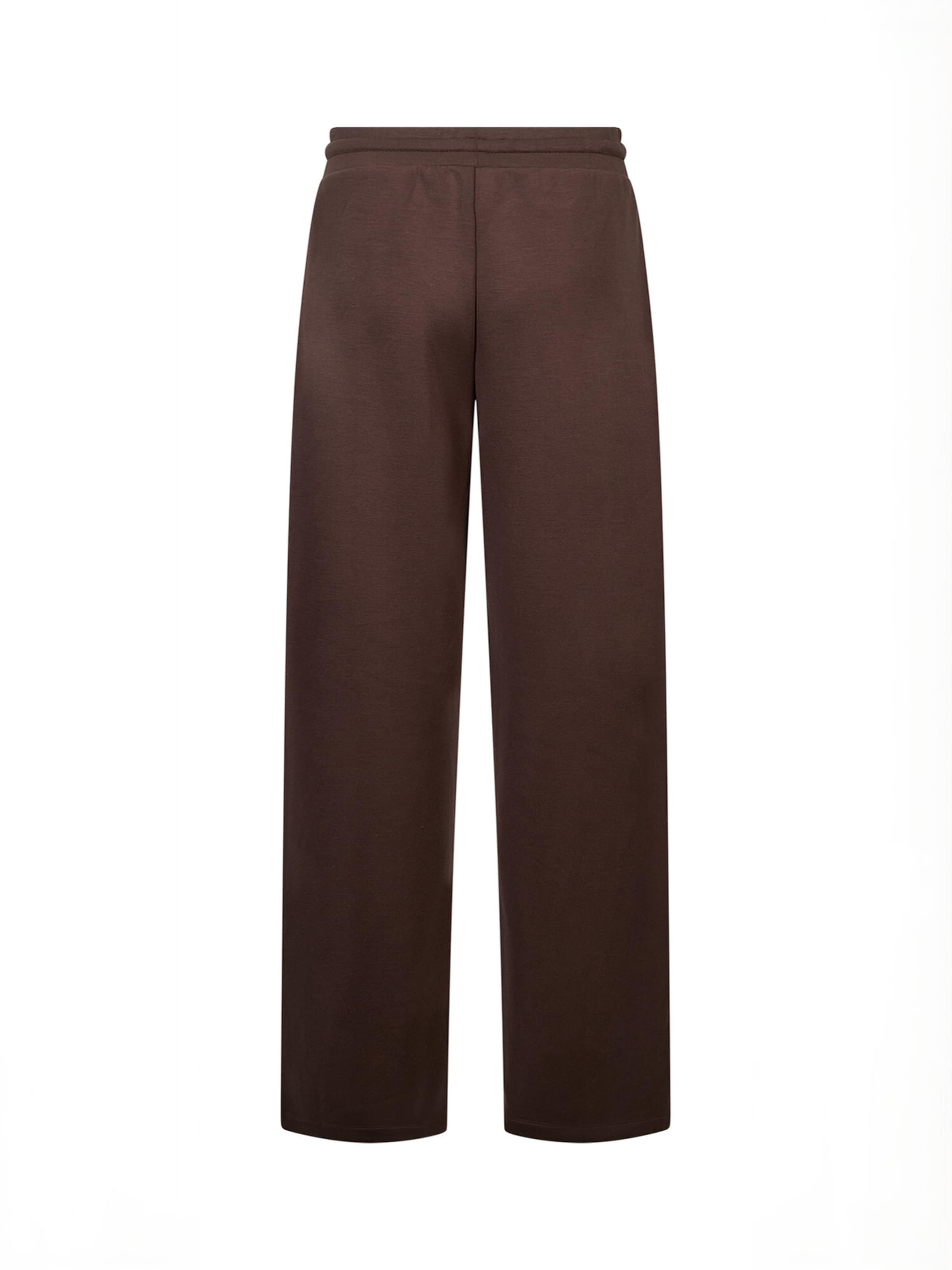 Soyaconcept - regular Pantalón ' SC-JANNY ' en marrón: atrás