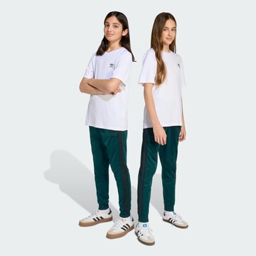 ADIDAS ORIGINALS Tapered Trousers 'Adicolor Sst' in Green: front