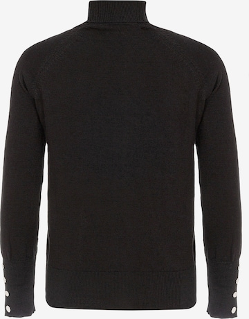 CIPO & BAXX Pullover in Schwarz